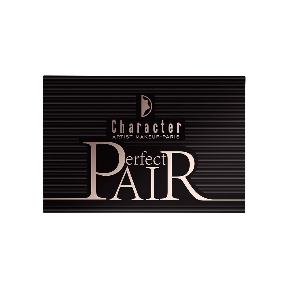 Character Pair Perfect 2 Color Blush